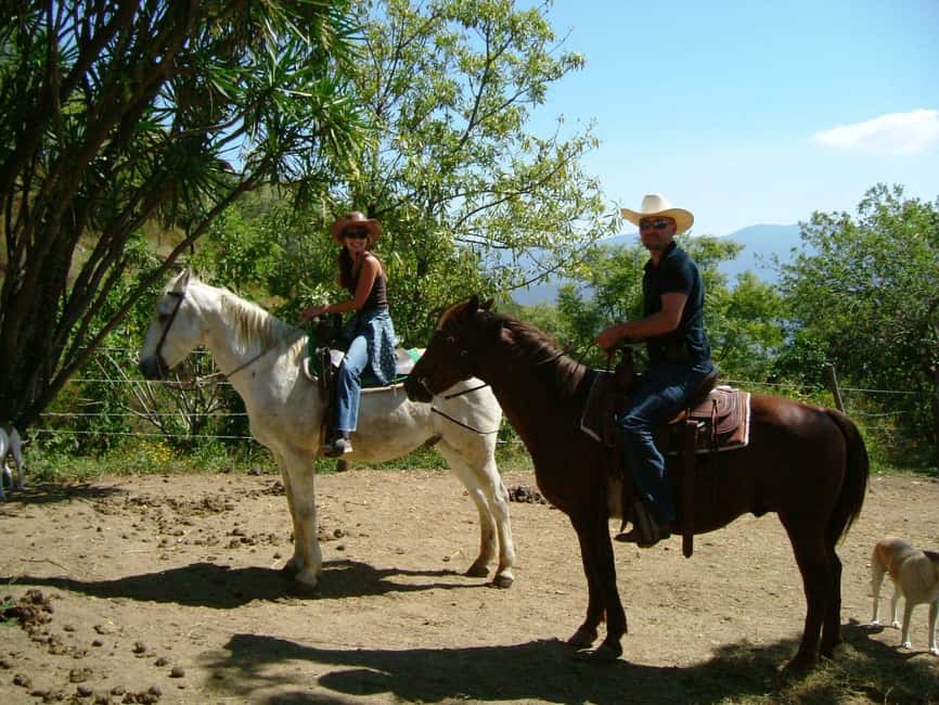 imagen n.º 2 de Agadir/Taghazout: Experiencia de Paseos a Caballo con Traslados actividad en Agadir, subida por el proveedor