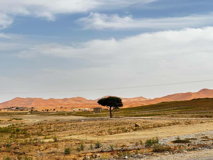 image n.51 of Marrakech/Ouarzazate: 2-Day Desert with Camel, 4x4 & Meals activity in Ait Benhaddou, uploaded by supplier