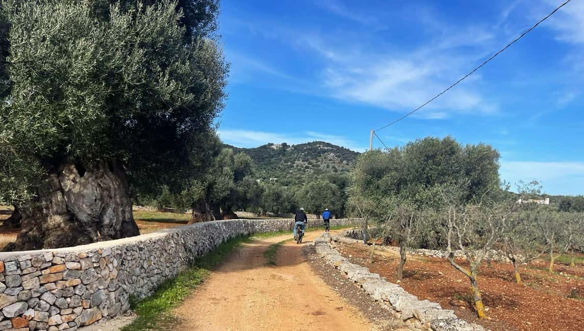 Immagine nº 39 di Ostuni: Tour in bicicletta con un bicchiere di vino e bruschetta attività a Ostuni, caricata dal fornitore