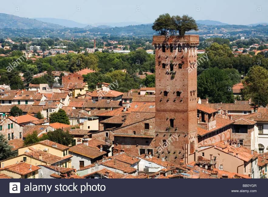 image n.12 of Visit Pisa & Lucca with lunch in a family-run winery activity in Pisa, uploaded by supplier