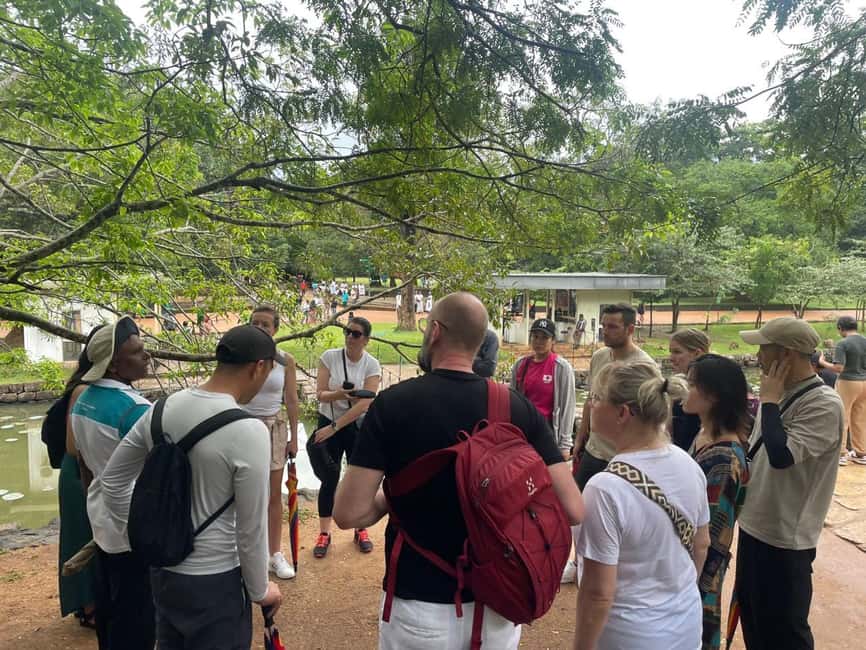 image n.20 of From Colombo: Sigiriya and Dambulla Day Trip and Safari activity in Sigiriya, uploaded by supplier