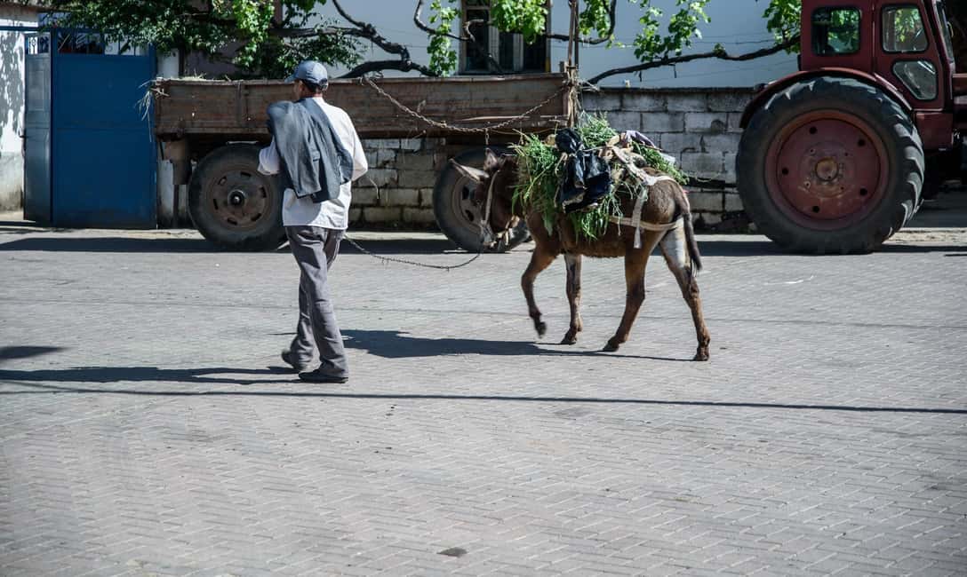 image n.15 of Around the lake Albania from Ohrid and Struga. activity in Ohrid, uploaded by supplier