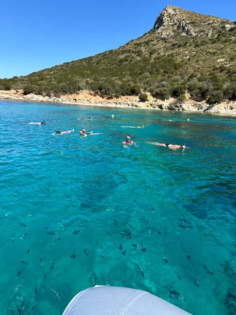 Bild Nr. 13 von Olbia: Bootstour mit Delfinbeobachtung und Schnorcheln Aktivität in Sardinien, hochgeladen vom Anbieter