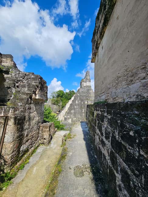 afbeelding n.1 van Tikal Groep Tour Vervoer, Gids plus Lunch activiteit in Flores, Guatemala, geüpload door aanbieder