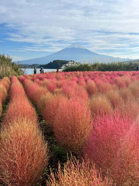obrázek č.16 aktivity Z Tokia/Jokohamy: Fudži a Hakone Soukromý celodenní výlet v destinaci Hakone, nahraný poskytovatelem aktivity