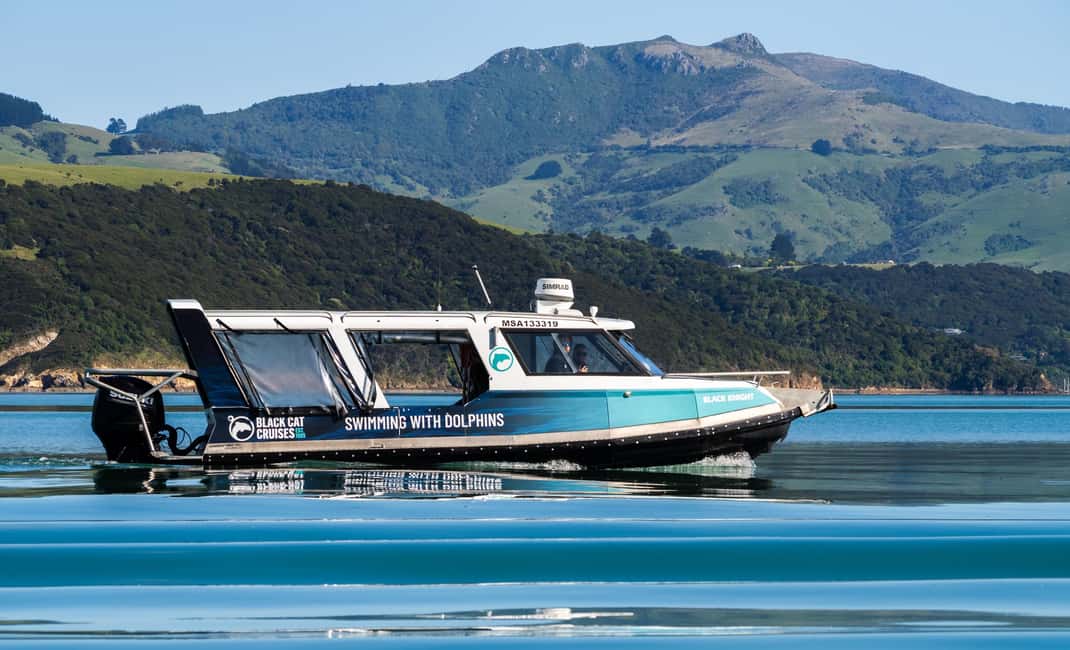 image n.6 of Akaroa: Swimming with Wild Dolphins Experience activity in South Island, uploaded by supplier