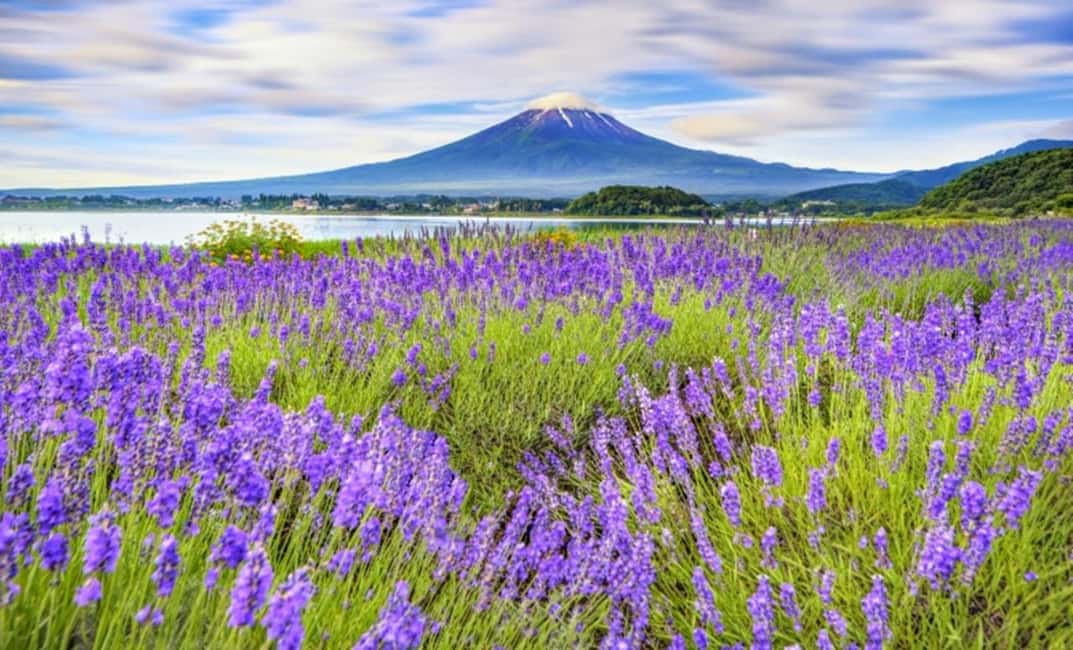 image n.41 of Tokyo: Mt. Fuji, LakeKawaguchiko, Pagoda, & Oishi Park Tour activity in Fujinomiya, uploaded by supplier