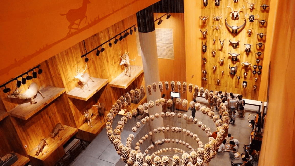 Image N°8 de Shanghai : Musée d'histoire naturelle Billet d'entrée activité à Shanghaï, publiée par le prestataire