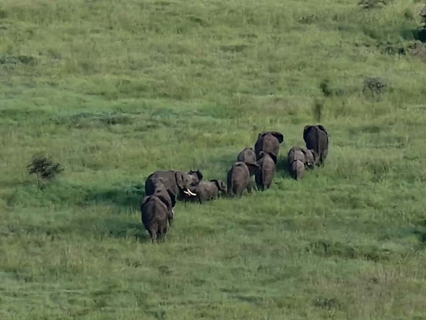 image n.11 of Serengeti: 3-Day Migration Safari with Hot Air Balloon Ride activity in Mara Region, uploaded by supplier
