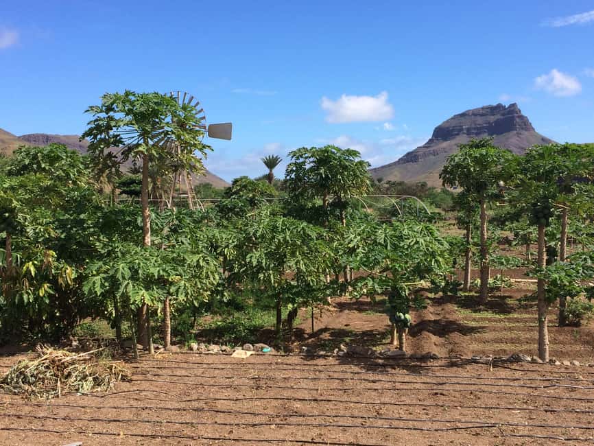 image n.4 of São Vicente: Half Day, Beaches, Villages and Monte Verde activity in São Vicente, Cape Verde, uploaded by supplier