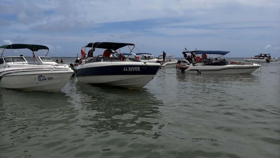 image n.9 of Transfers between Salvador and Barra Grande Maraú activity in Northeast Region, Brazil, uploaded by supplier