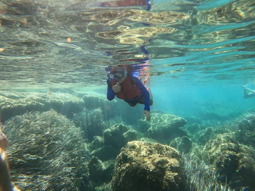 imagem n.7 de Es Figueral: Tour guiado de caiaque e mergulho com snorkel atividade em Ilhas Baleares, carregada pelo fornecedor