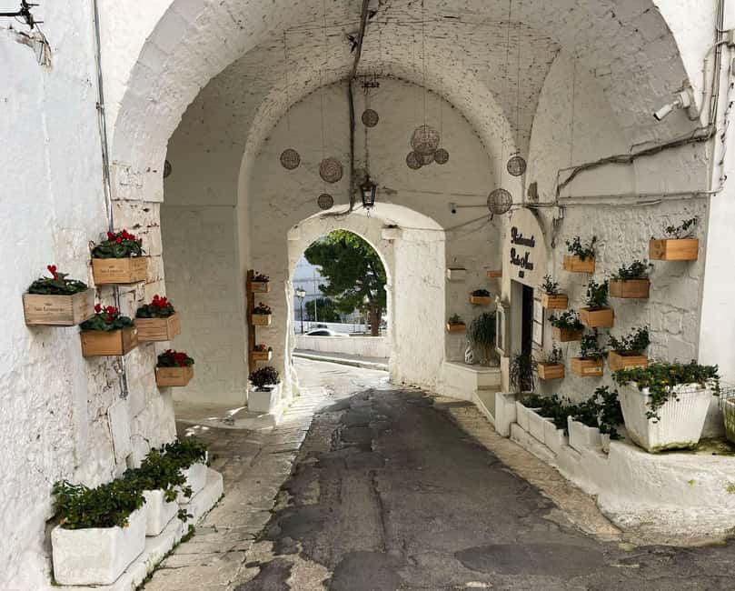 Immagine nº 38 di Ostuni: Tour in bicicletta con un bicchiere di vino e bruschetta attività a Ostuni, caricata dal fornitore