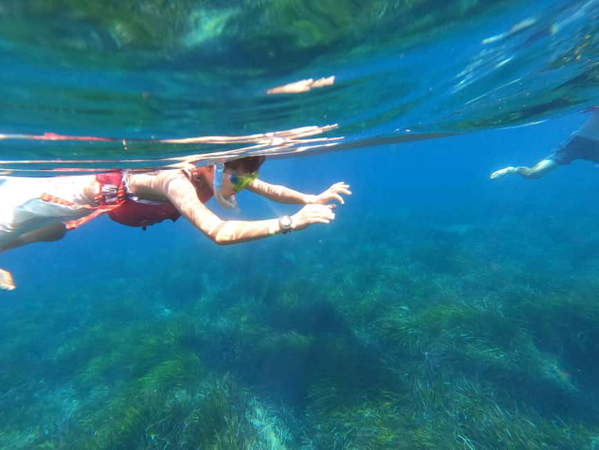 imagem n.16 de Es Figueral: Tour guiado de caiaque e mergulho com snorkel atividade em Ilhas Baleares, carregada pelo fornecedor