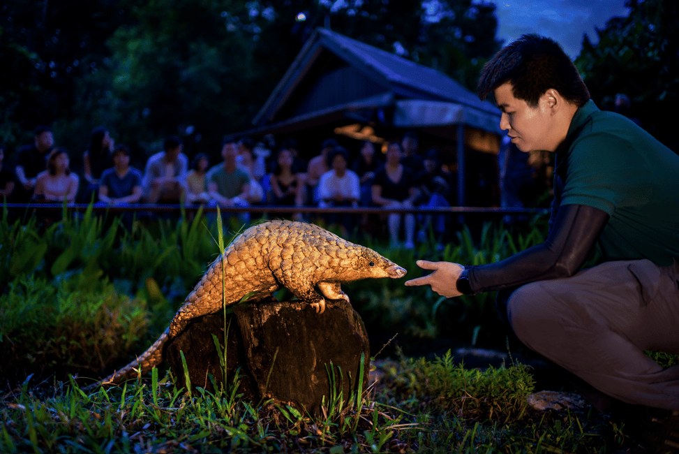 imagem n.30 de Singapura: Ingresso para o Safari Noturno e para o Passeio de Elétrico atividade em Singapura, carregada pelo fornecedor