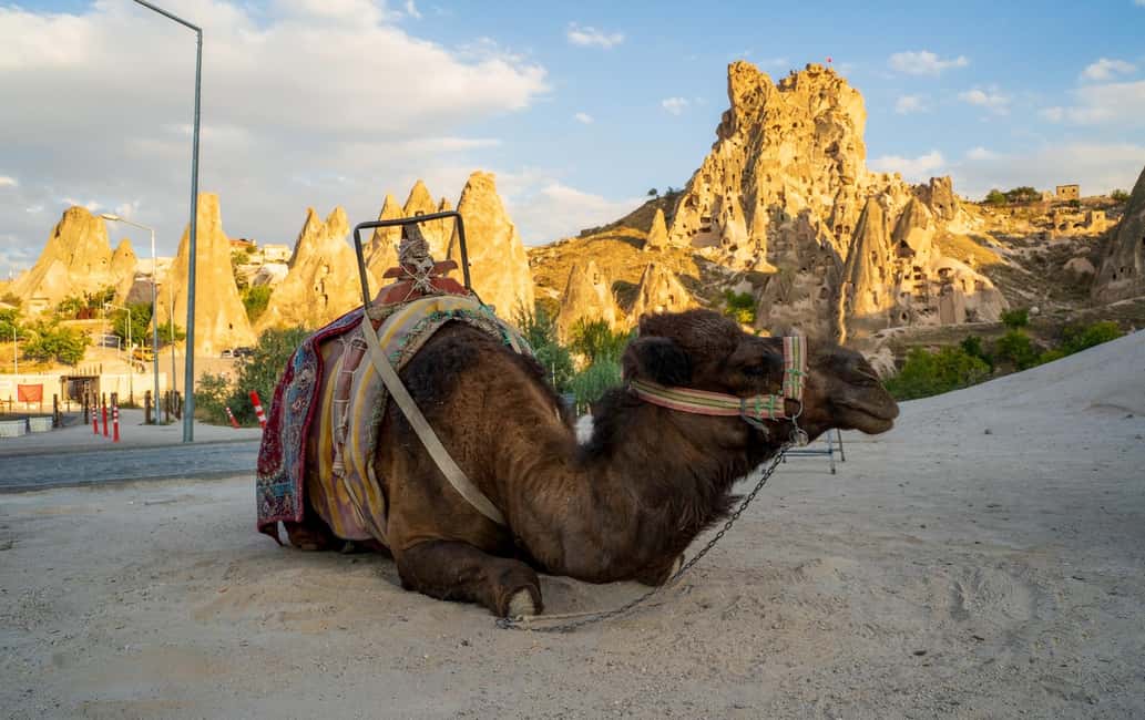image n.10 of Sunrise and Sunset Camel Ride with Stunning Cappadocia Views activity in Cappadocia, uploaded by supplier