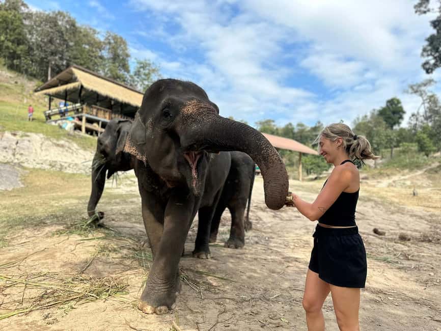 image n.12 of Chiang Mai: Elephant Sanctuary & Waterfall Group Tour activity in Chiang Mai, uploaded by supplier