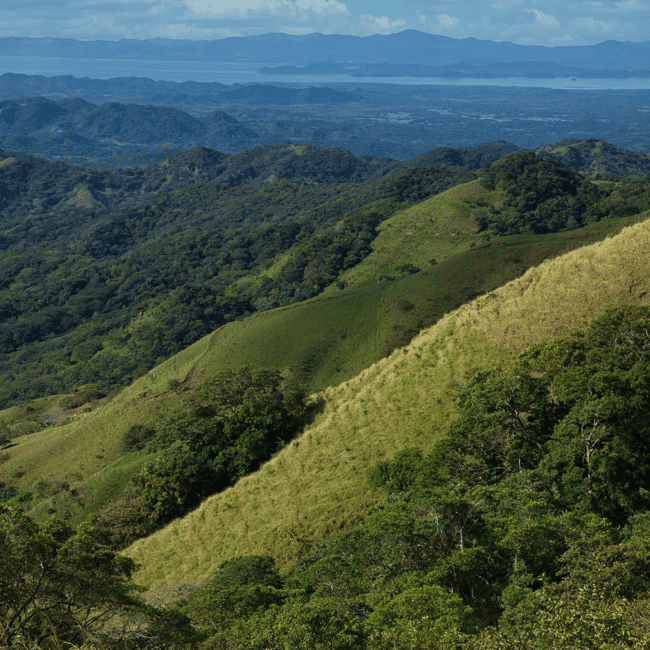 bild nr.9 av Privat transfer San José flygplats till/från Monteverde aktivitet i San José, Costa Rica, uppladdad av arrangören
