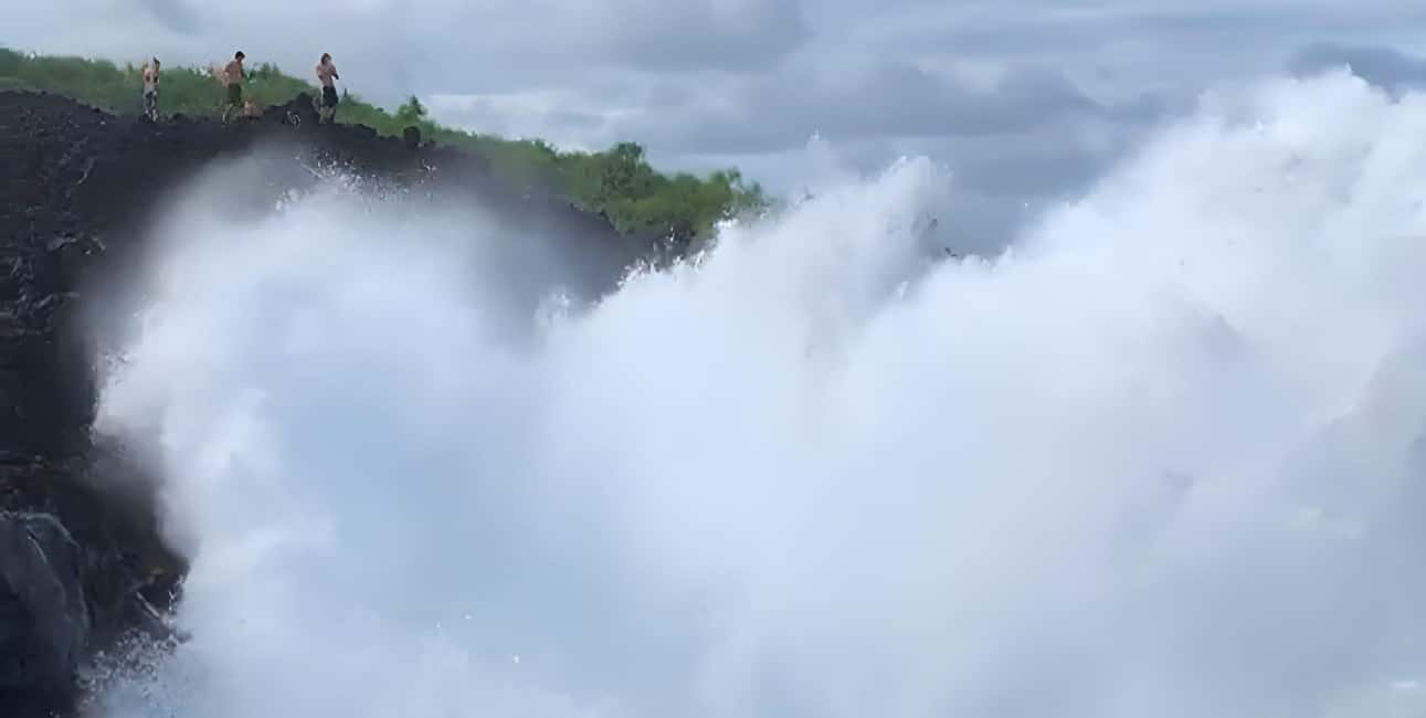 Immagine nº 23 di Escursione alle pozze di marea segrete - Giungla e costa - Privato attività a Pahoa, caricata dal fornitore