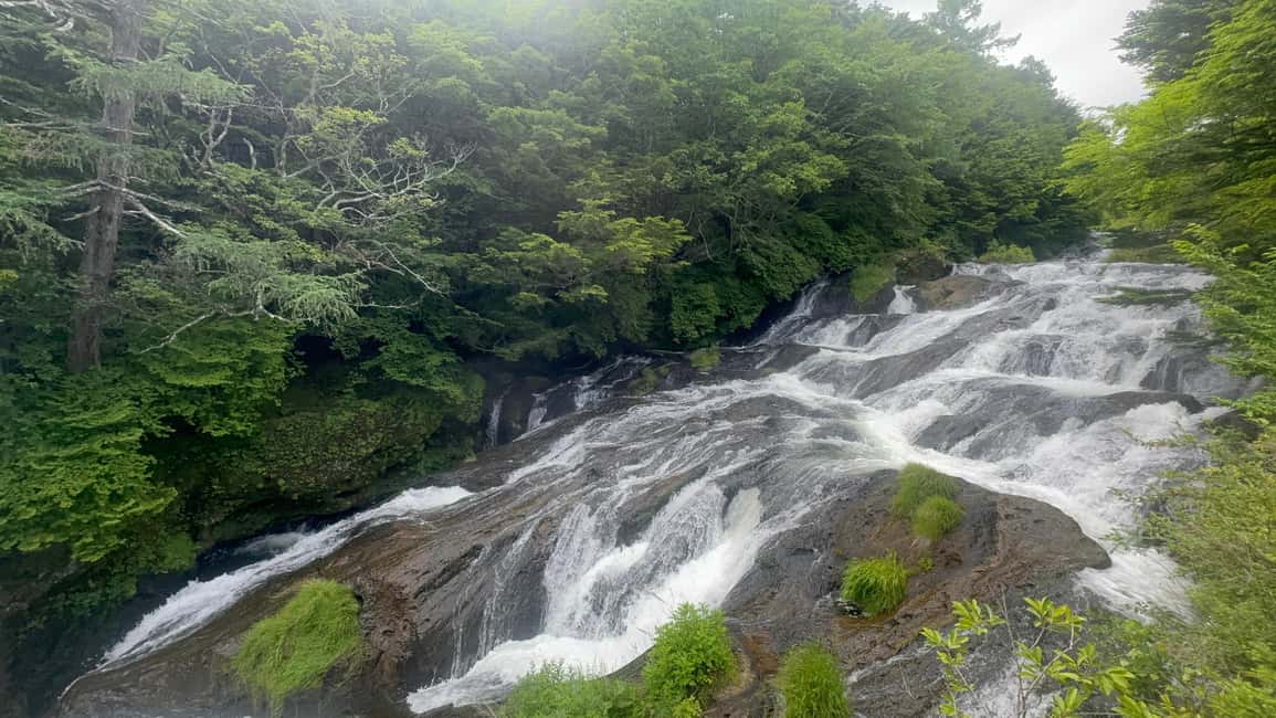 Immagine nº 8 di Nikko: escursione privata di un giorno attività a Nikkō, caricata dal fornitore