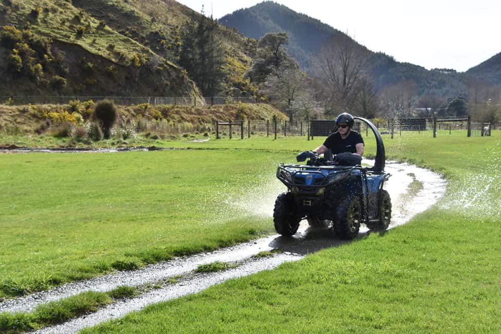 image n.11 of Nelson: Guided Quad Biking Tour Through Forest and Farmland activity in Nelson, New Zealand, uploaded by supplier