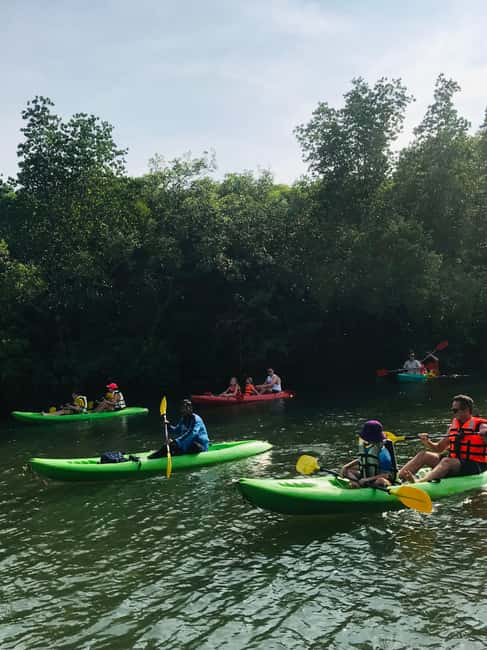 image n.10 of Ko Lanta: Half-Day Mangrove Kayaking Tour with Lunch activity in Tung Yee Peng, uploaded by supplier