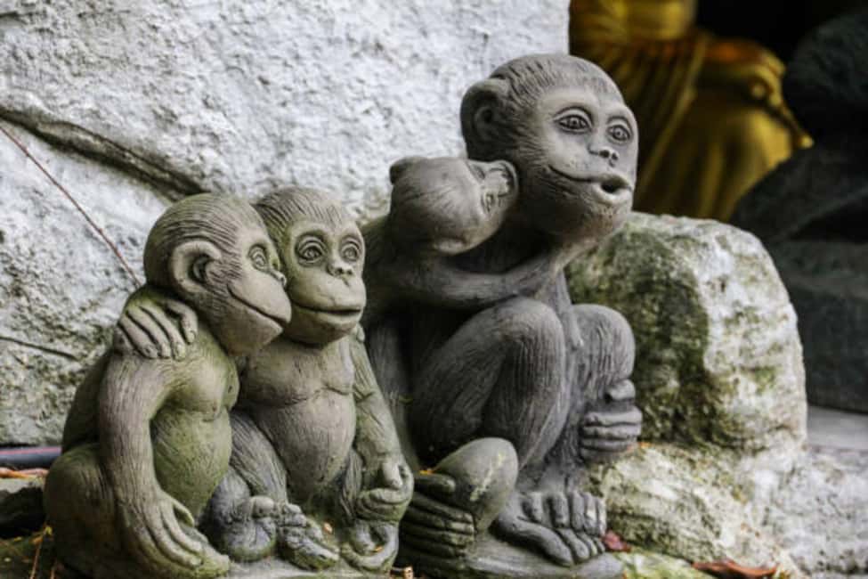 Immagine nº 10 di Da Tokyo: Tour di lusso di Nikko con guida in lingua inglese attività a Nikkō, caricata dal fornitore