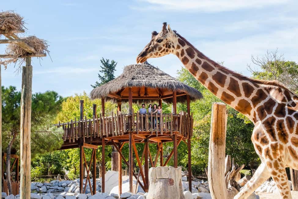 image n.2 of Madrid: Zoo Aquarium Madrid Ticket activity in Madrid, uploaded by supplier