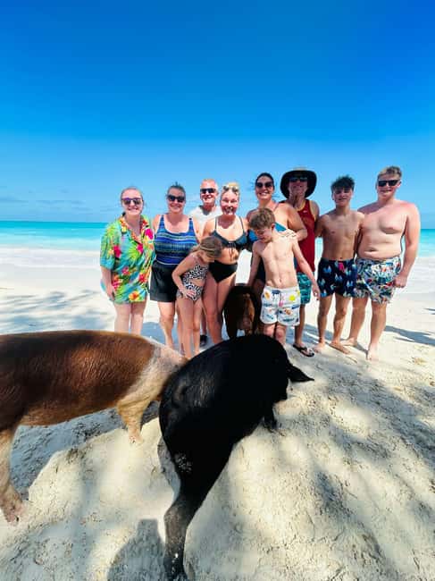 Image N°30 de Nassau : Cochons, plongée en apnée, tortues, déjeuner, club de plage privé activité à New Providence, publiée par le prestataire