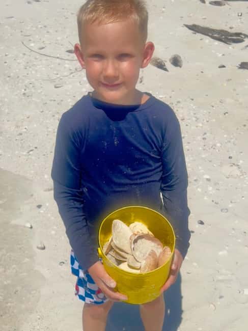 image n.9 of Marco Island: 2-Hour Dolphin, Birding, and Shelling Tour activity in Fort Myers, uploaded by supplier
