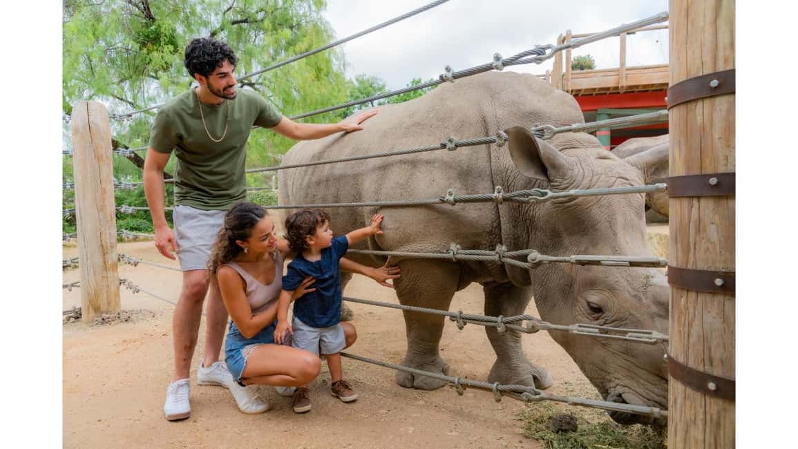 image n.24 of San Antonio: San Antonio Zoo Any Day Ticket activity in San Antonio, uploaded by supplier
