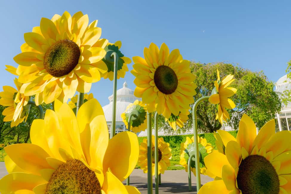 image n.4 of NYC: New York Botanical Garden Pass activity in New York City, uploaded by supplier