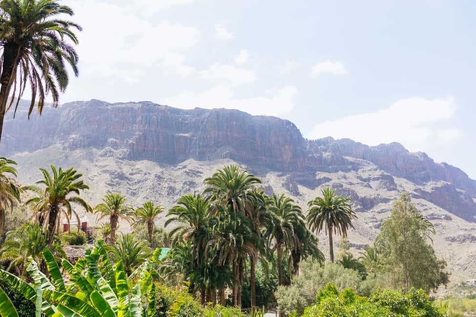 image n.2 of Gran Canaria: Camel Ride Safari w/ Optional Food & Transport activity in San Bartolomé de Tirajana, uploaded by supplier