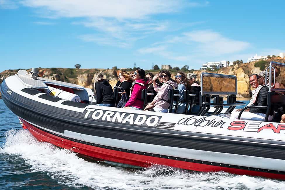 image n.3 of Lagos: Dolphin Watching with Professional Marine Biologists activity in Lagos, Portugal, uploaded by supplier