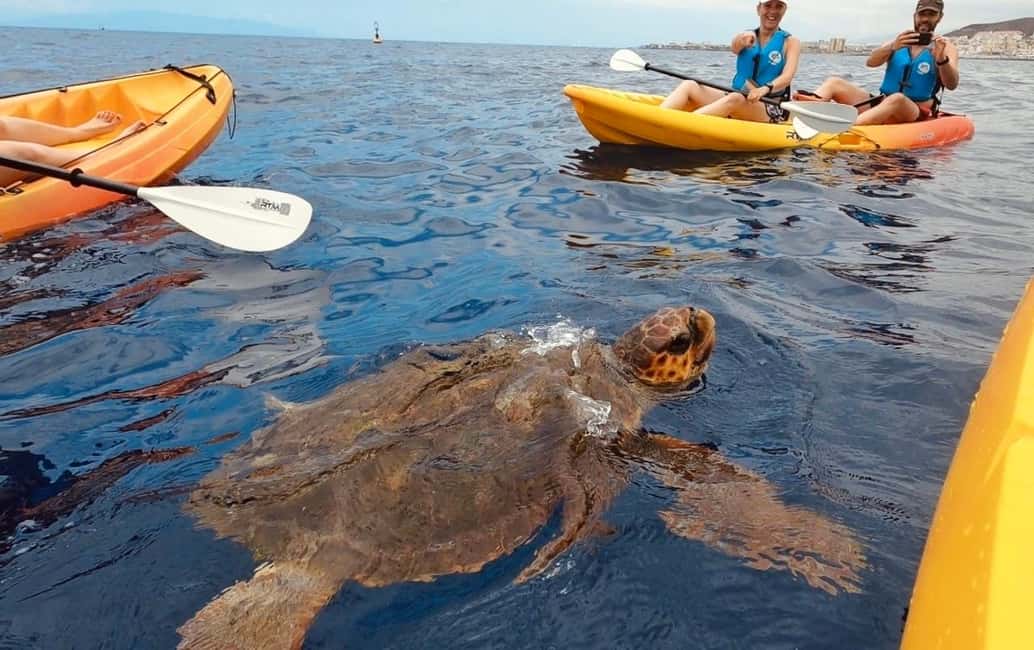 image n.2 of Tenerife: Kayak Safari and Sea Turtle Snorkeling with Photos activity in Arona, Tenerife, uploaded by supplier