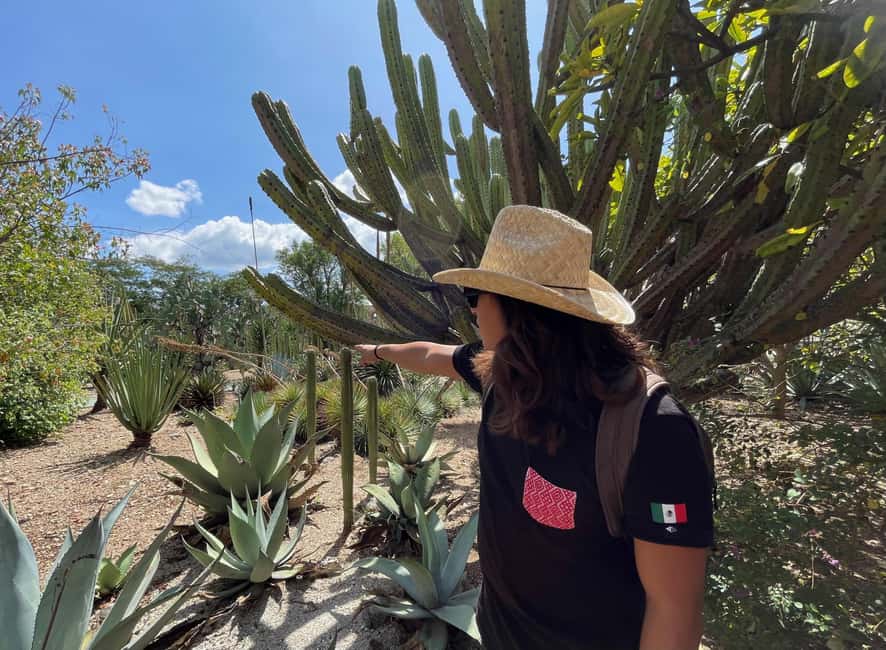imagem n.13 de Excursão a pé pela cidade de Oaxaca - Mercados, museu têxtil e almoço atividade em Oaxaca de Júarez, carregada pelo fornecedor