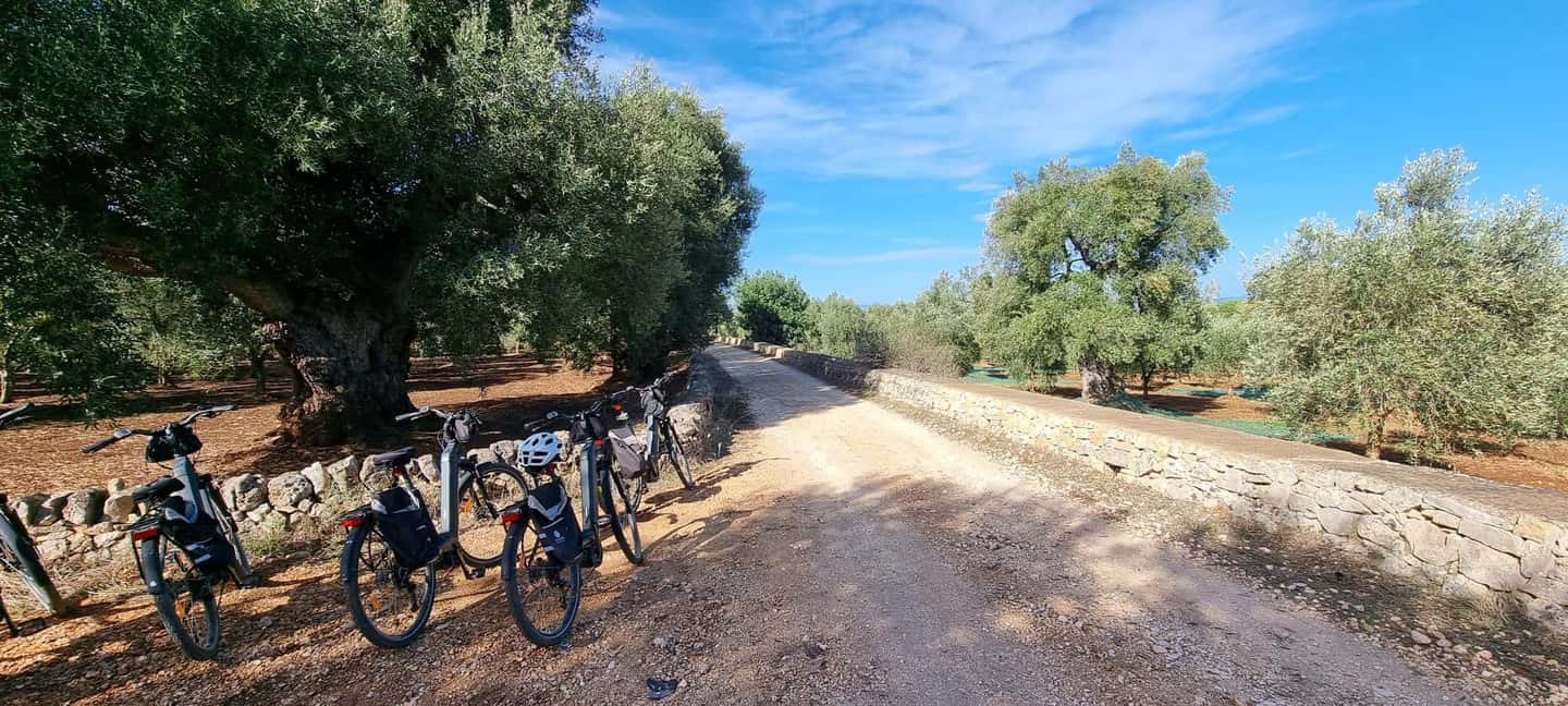 Immagine nº 16 di Ostuni: Tour in bicicletta con un bicchiere di vino e bruschetta attività a Ostuni, caricata dal fornitore