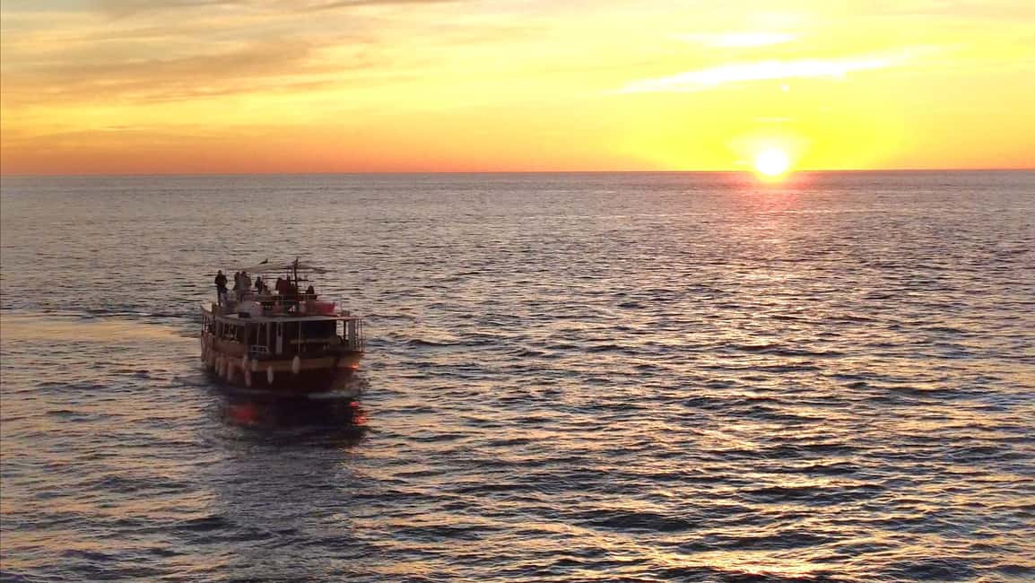 Immagine nº 18 di 3 ore di osservazione dei delfini al tramonto con bevande illimitate + cena attività a Istarska, caricata dal fornitore
