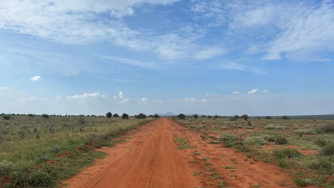image n.1 of From Watamu: 2-Day Safari in Tsavo East National Park activity in Coast Province, uploaded by supplier