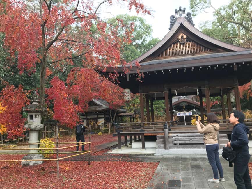 image n.8 of Cycle Kyoto's Hidden Gems & Gion Stroll activity in Kyoto, uploaded by supplier