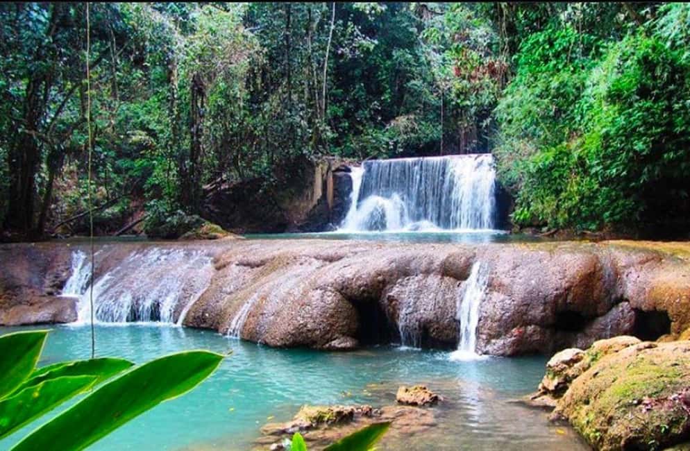 imagem n.17 de Jamaica: Excursão de 1 dia às Cataratas YS e Safari em Black River atividade em Negril, carregada pelo fornecedor
