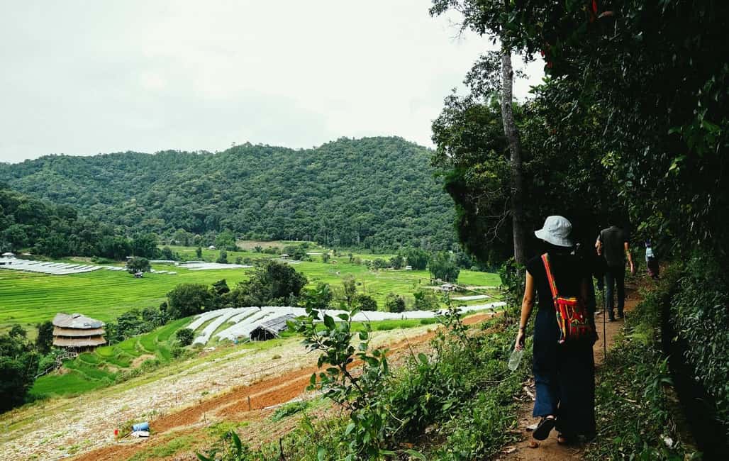 image n.42 of Chiang Mai: Doi Inthanon Trip with Pha Dok Siew Guided Trek activity in Chiang Mai, uploaded by supplier
