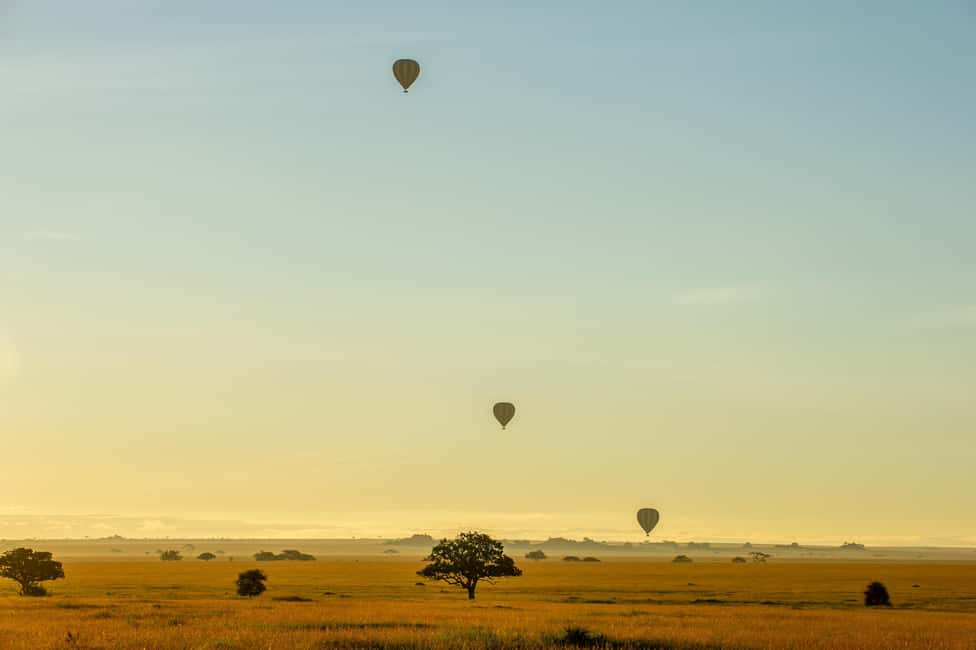 Image N°6 de Parc national du Serengeti : Safari en montgolfière à l'aube activité à Région de Mara, publiée par le prestataire