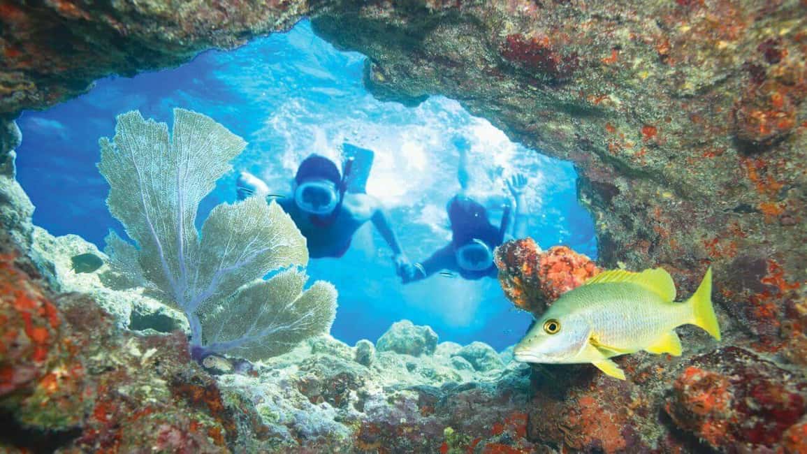 image n.19 of Fort Lauderdale: Key West Day Trip with Optional Activities activity in Fort Lauderdale, uploaded by supplier