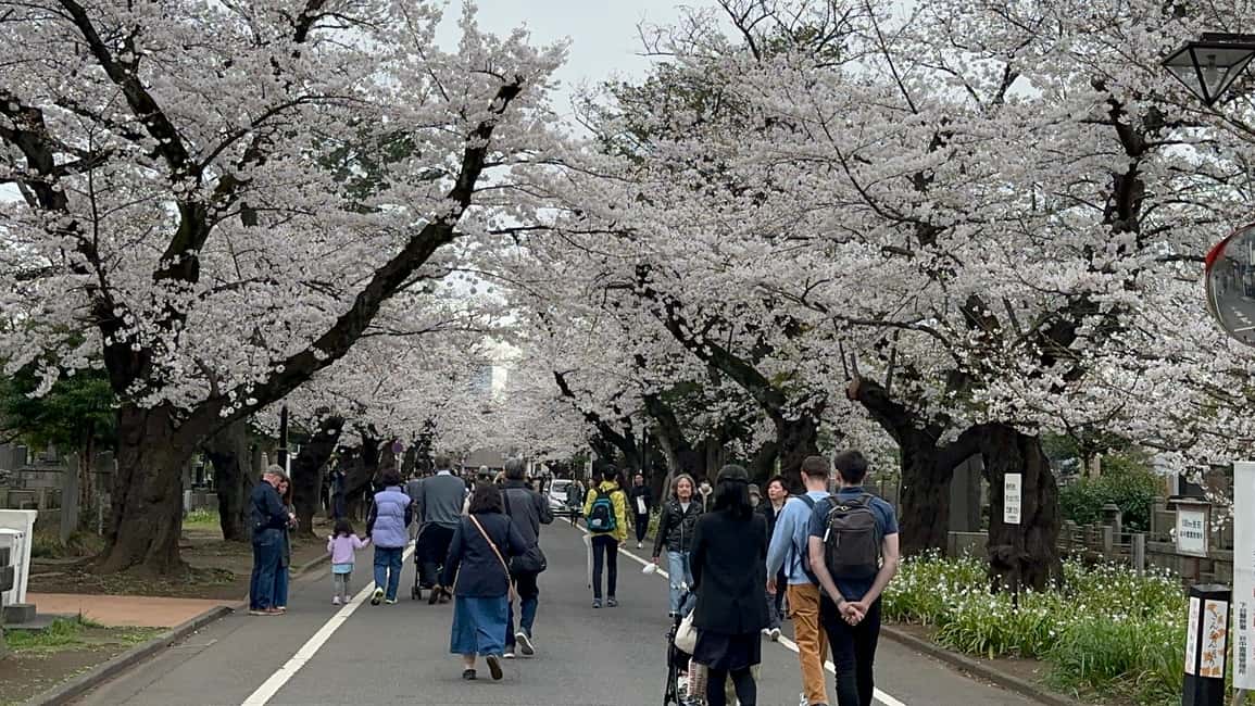image n.13 of Tokyo : Stroll in the Old traditional town~Yanaka & Nezu activity in Tokyo, uploaded by supplier