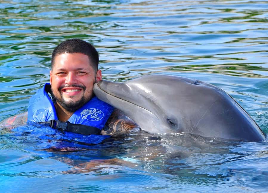image n.1 of Puerto Plata Ocean World Dolphin Swim activity in Puerto Plata, uploaded by supplier