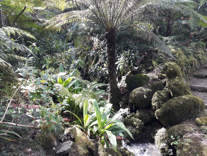 billede nr.47 af aktiviteten Lissabon: Sintra, Pena Palace, Quinta Regaleira, Cascais Tour i Colares, uploadet af udbyder