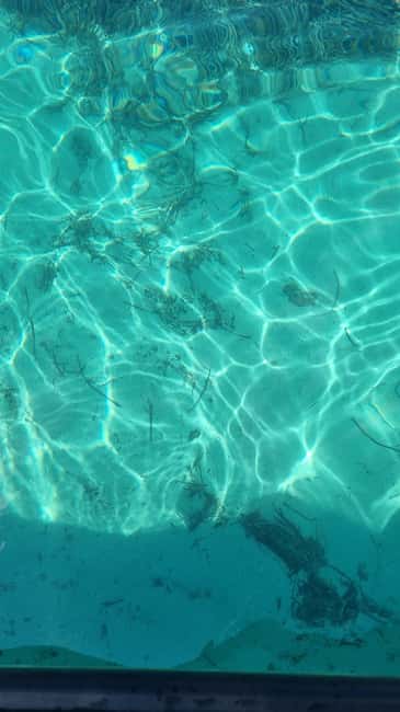 billede nr.1 af aktiviteten Split: Privat tur til den blå lagune og Šolta-skibsvraget i Dalmatien, uploadet af udbyder