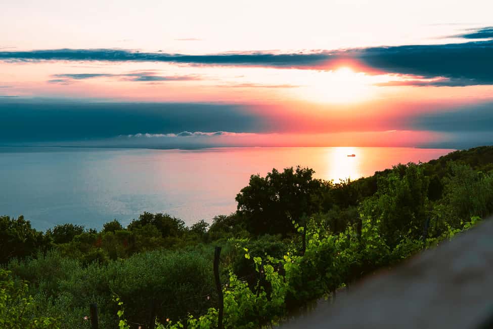 Immagine nº 17 di Trieste: Tour delle origini del Prosecco e degustazioni di 2,5 ore attività a Trieste, caricata dal fornitore
