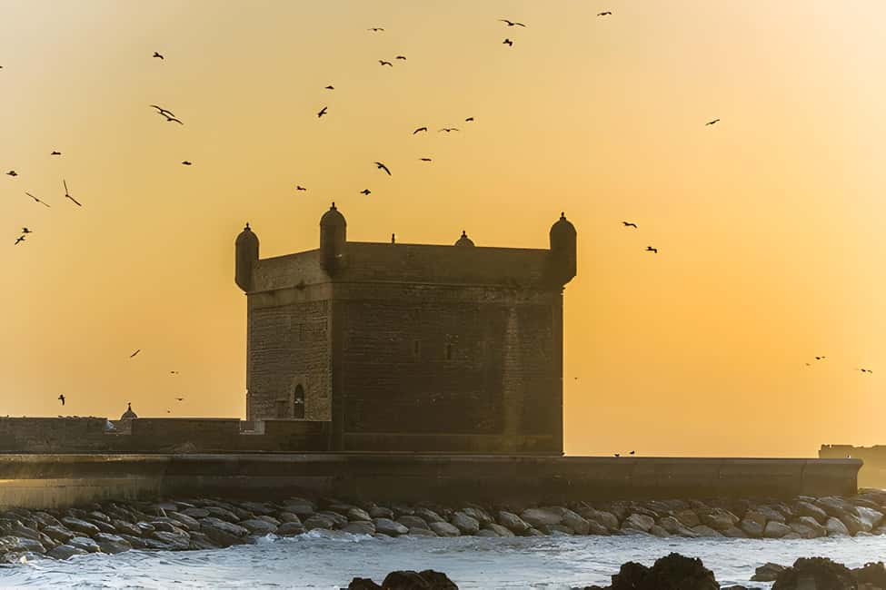 image n.8 of From Marrakech: Essaouira day Trip with camel, horse & quad activity in Essaouira, uploaded by supplier